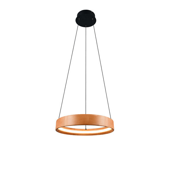 lynwood lampara de techo led en elekam led
